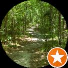 football prediction site